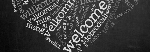 Multilingual Website